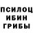 Галлюциногенные грибы Magic Shrooms Nurzatbek Dunganov