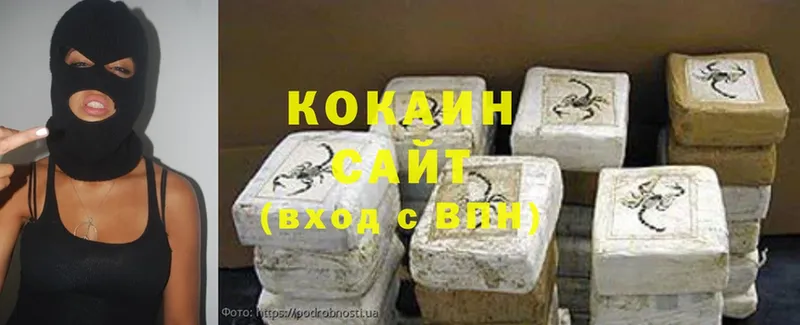 COCAIN Fish Scale  продажа наркотиков  Гвардейск 