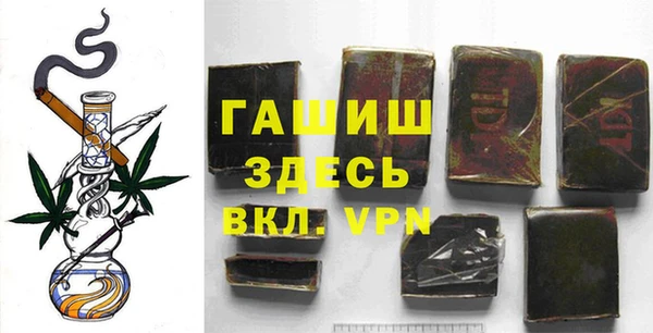 крисы Мегион