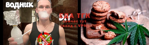 крисы Мегион
