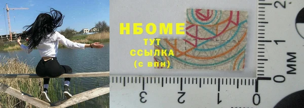 крисы Мегион