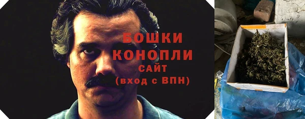 крисы Мегион