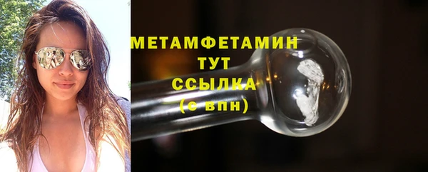 крисы Мегион