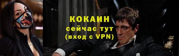 крисы Мегион