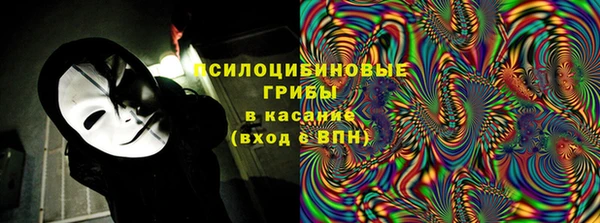 крисы Мегион