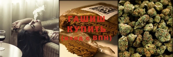 крисы Мегион