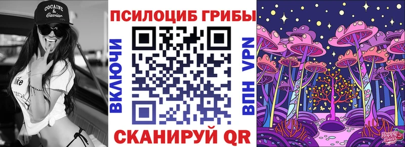 Псилоцибиновые грибы Psilocybe  Гвардейск 